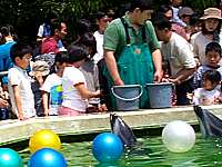 �C���J�ɃG�T�����������Ƃł�