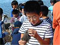 �J���n�M�����A�L