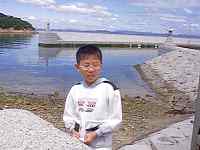 ����c�Ό�����