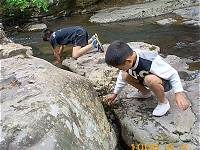 ��ŗV�ԃA�L�ƃ��X