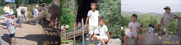 秋吉台の旅行風景