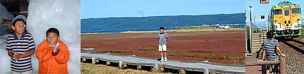 �ԑ����X�فA�\��΂��񂲑��Q���A�����������ԉ��w�ɓ���L�^�L�c�l���