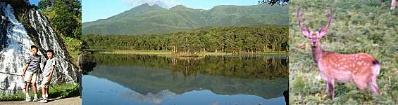 �I�V���R�V���̑�A�m���܌΂̓�΁A�G�]��