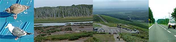 �m���ɂ����J���������A��t�����E�i�������A�q���n���L����J�z��A�܂������ɑ�����