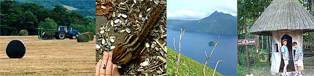 �ۂ߂��q���ɋ@�B�ŃJ�o�[���Ă����A�����Α��W�]��̃V�}���X�A��O�W�]�䂩��A�����΃A�C�k�R�^��