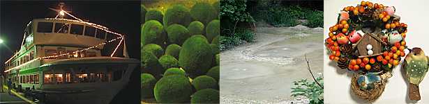 �܂���ۂŃi�C�g�N���[�Y�A�W�������̃}�����A�D�ΎR�̃{�b�P�A���݂₰