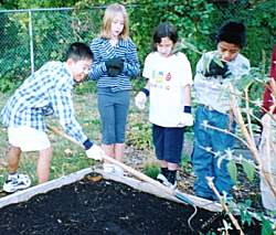 �ق���񑐂̎�܂�