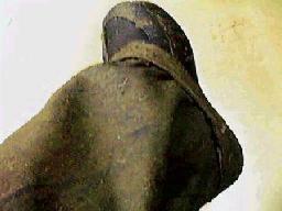 �D���炯�̑�