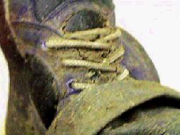 �D���炯�̌C