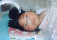 �q�����_�f�{�b�N�X�̒�