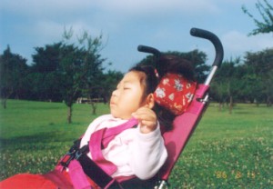 �q����񒩂̎U��