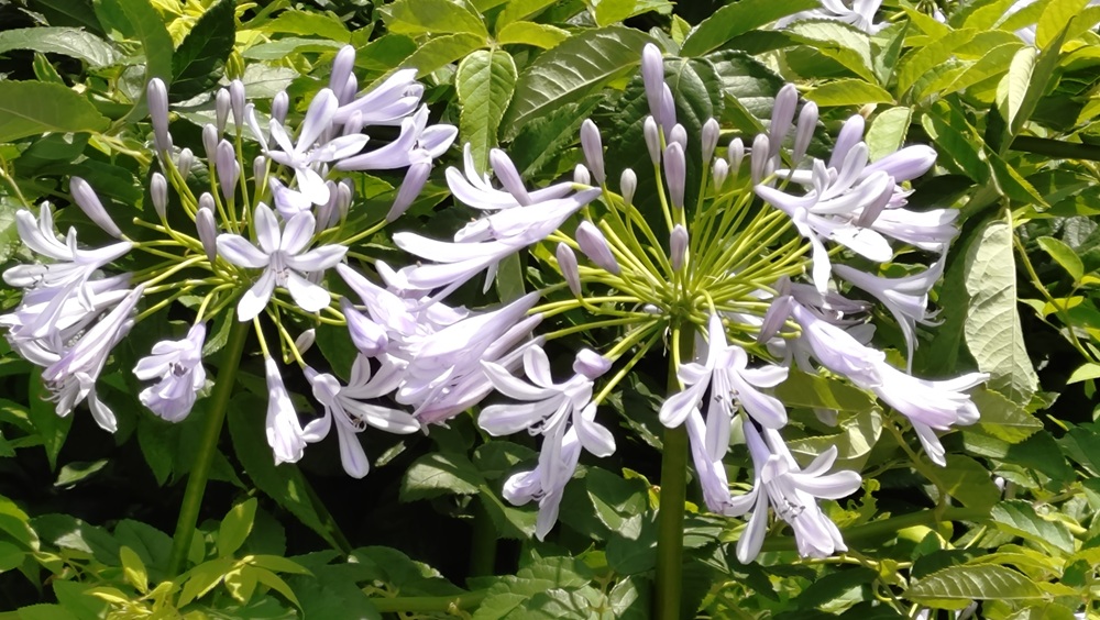 季節のタイトル