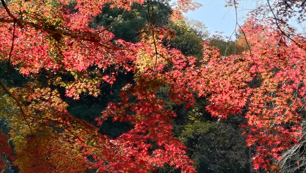 季節のタイトル