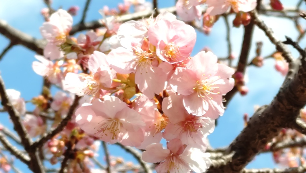 季節のタイトル