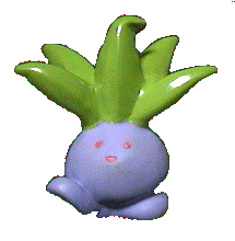 �i�]�m�N�T 