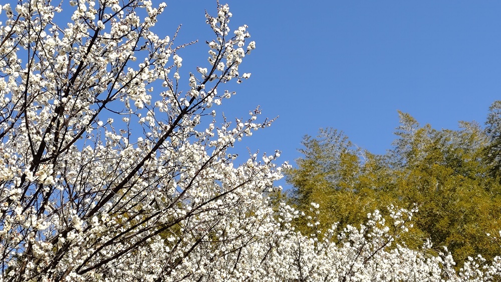 季節のタイトル