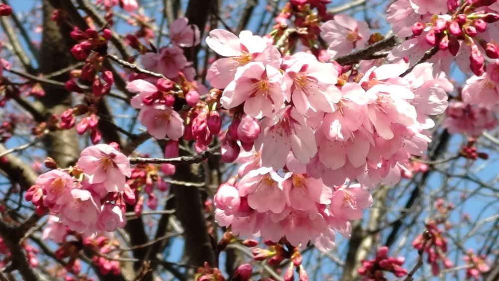 季節のタイトル